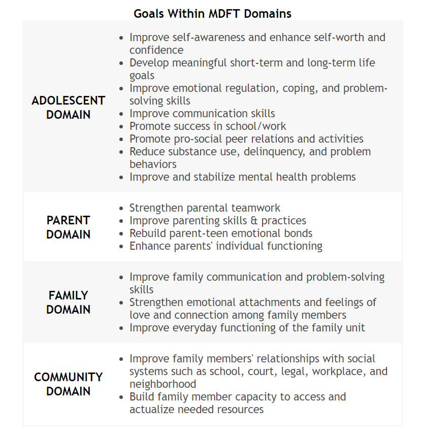 The goals of multidimensional family therapy